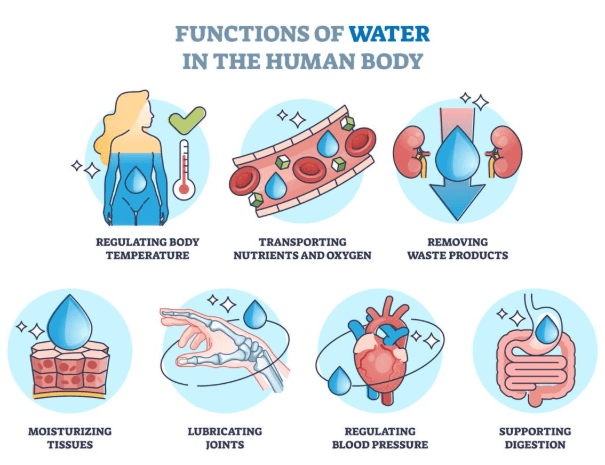 How Much Water Should I Drink